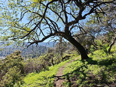 Monfrague National Park-Villarreal de San Carlos必去景点