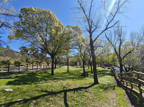 Monfrague National Park-Villarreal de San Carlos必去景点