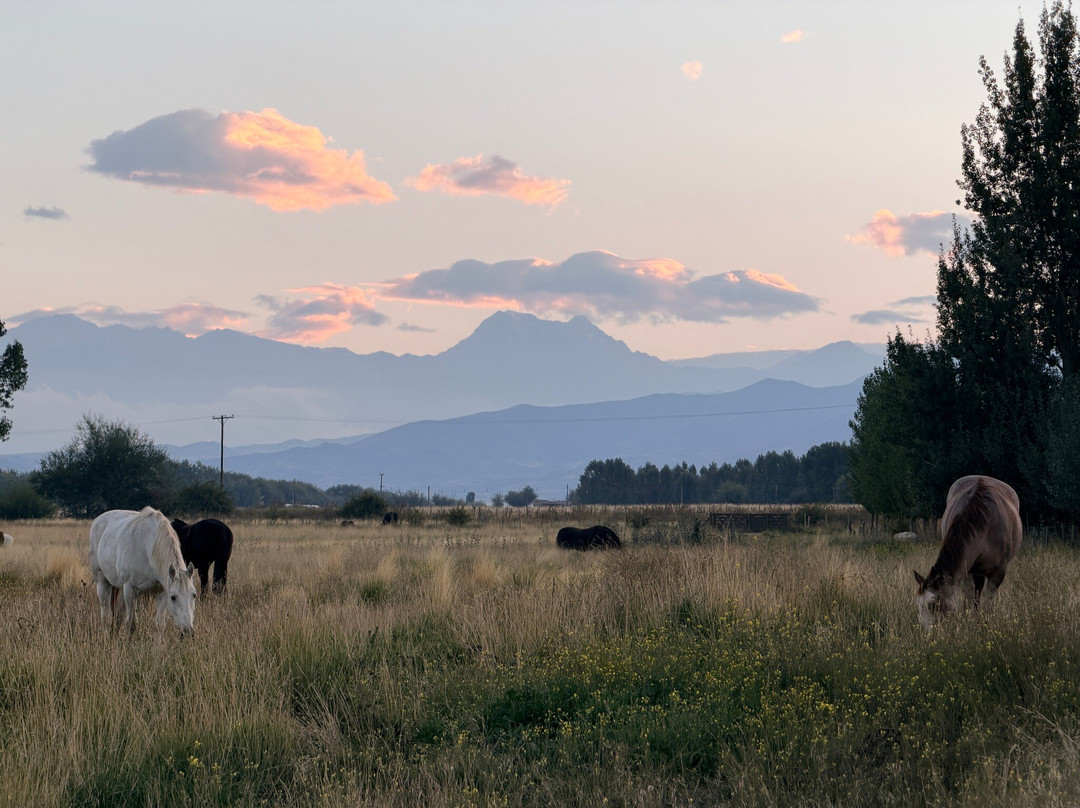 Vivacs Del Plata-Tupungato必去景点
