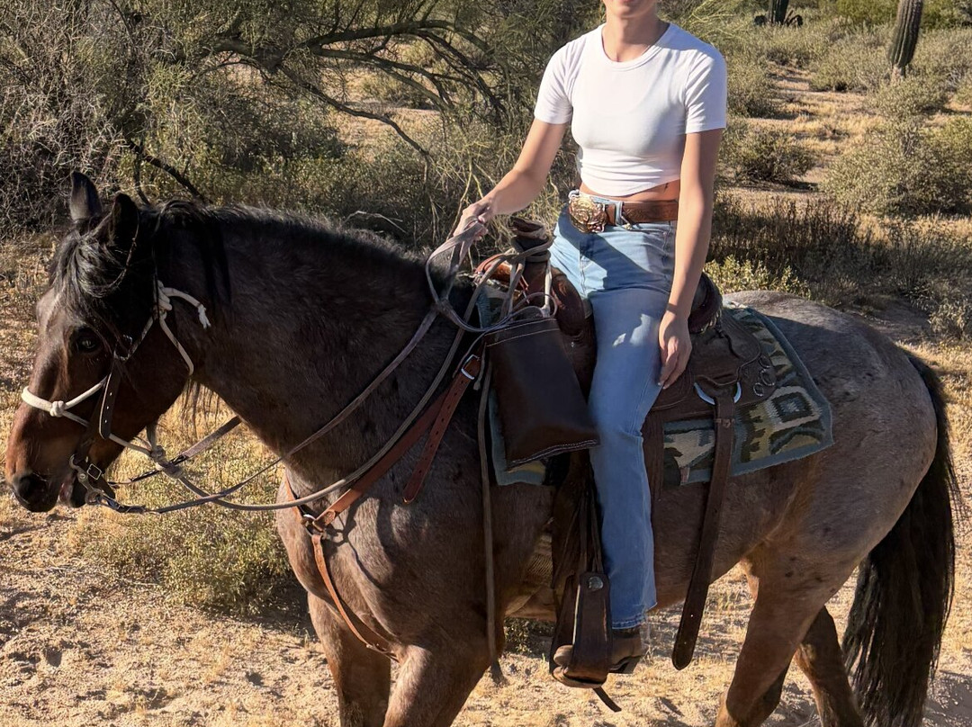 MacDonald's Ranch-斯科茨代尔必去景点