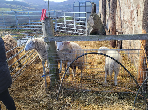 Loch Ness Hub & Travel-德拉姆纳德罗希特必去景点