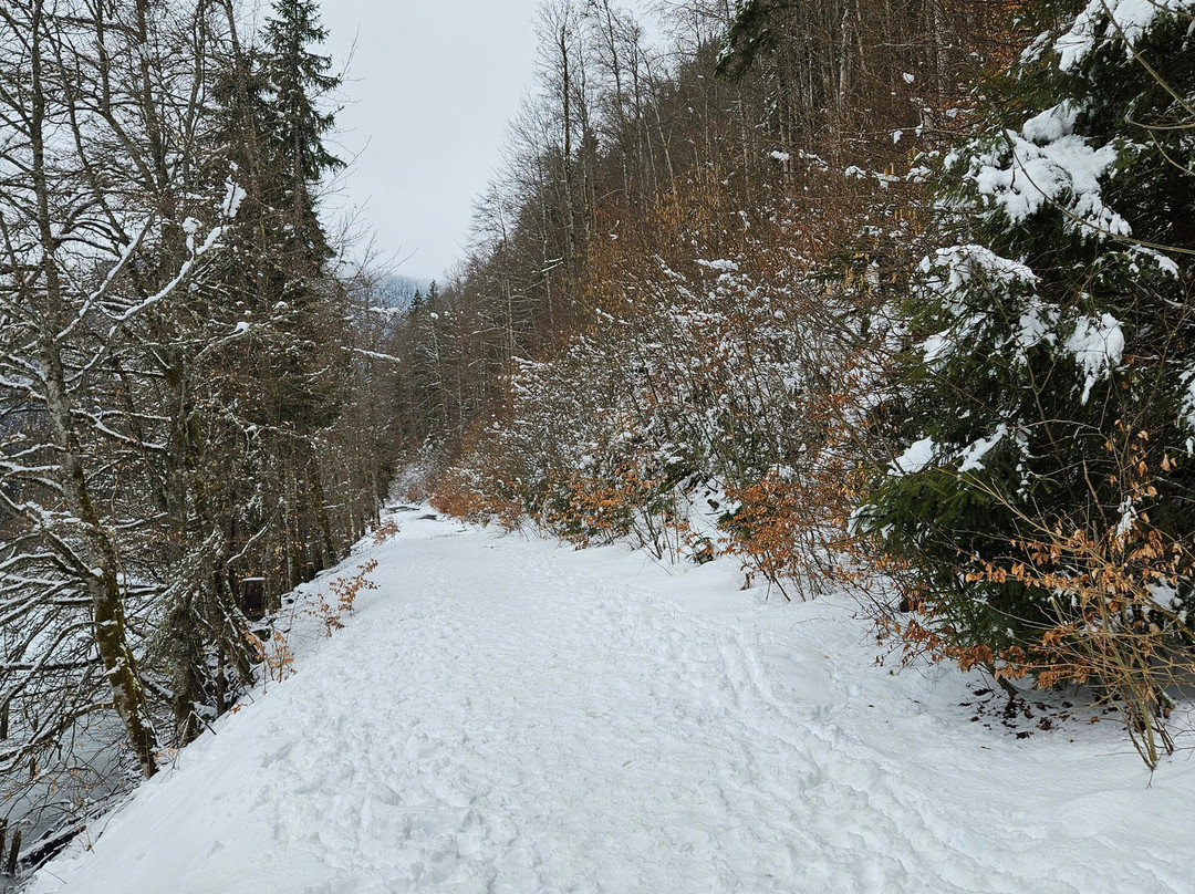 Lac de Vallon-Bellevaux必去景点