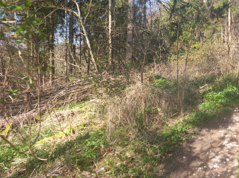 Coombe Hill-艾尔斯伯里必去景点