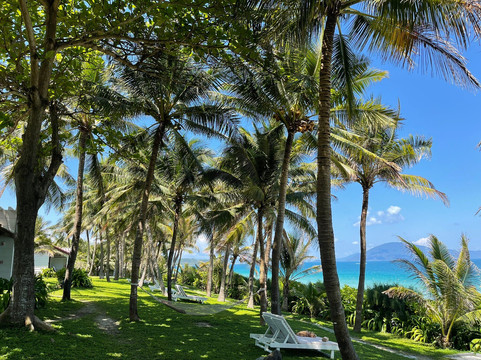 雷特海滩-芽庄必去景点