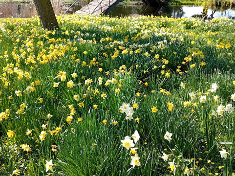 Chippenham Park-Chippenham必去景点