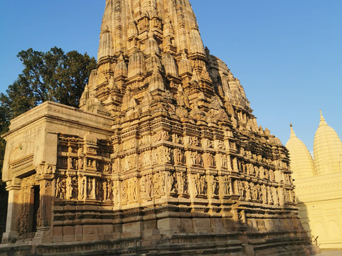 Viaja Por La India-新德里必去景点