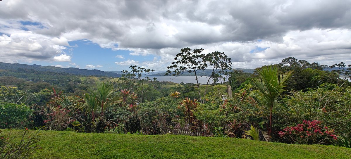 忘忧草民宿-酒店景观