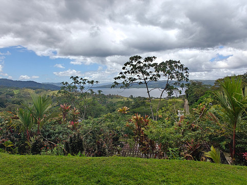 忘忧草民宿主图