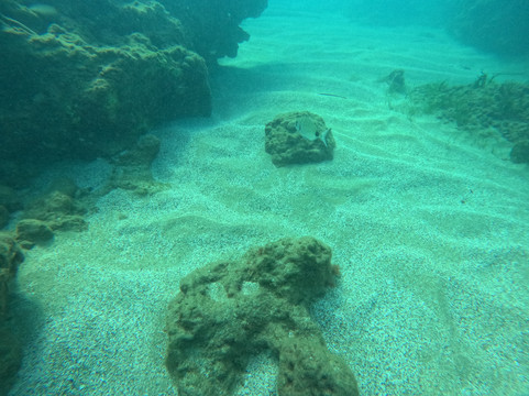 Coral Diving Crete-Anissaras必去景点