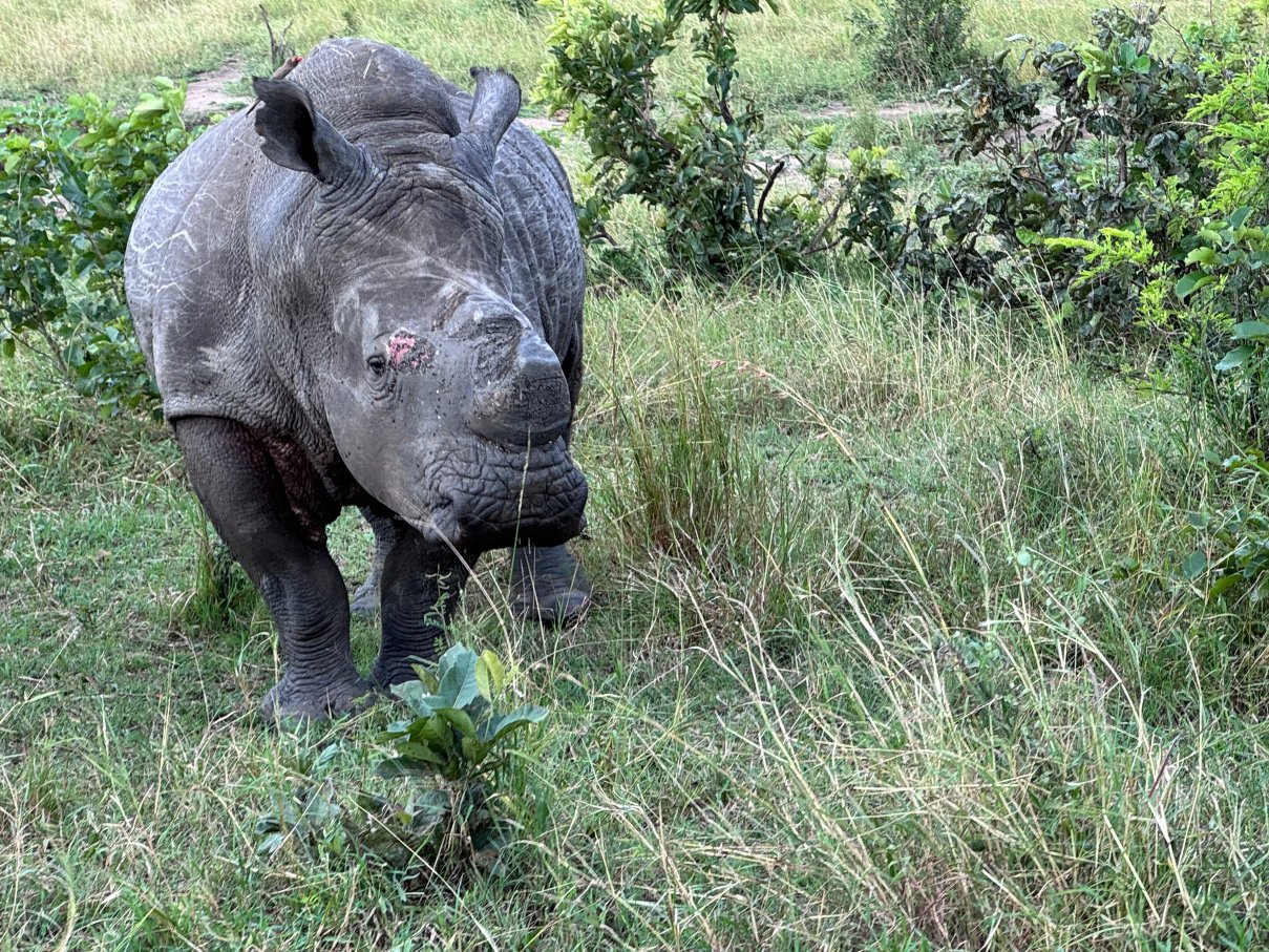 Savanna Private Game Reserve-官方