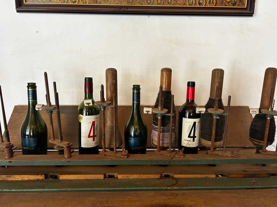 Cuatro Almas Wines-Buin必去景点