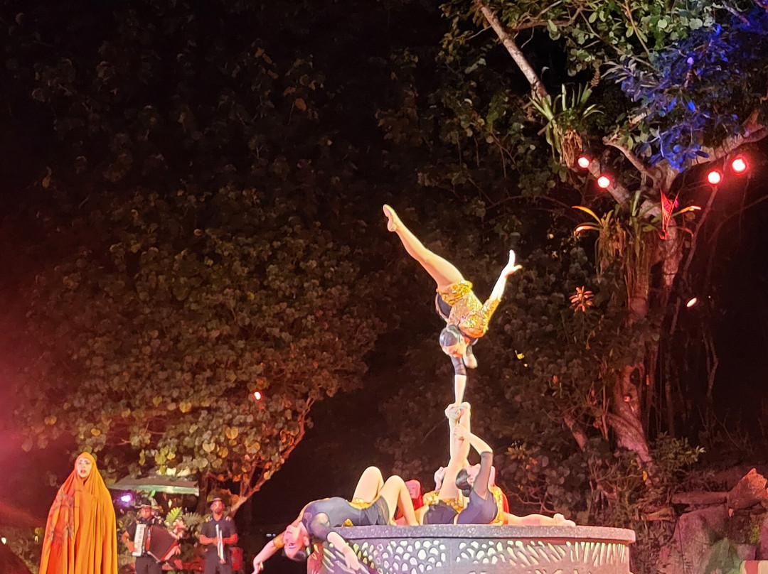 Rhythms of the Night by Vallarta Adventures-瓦拉塔港必去景点