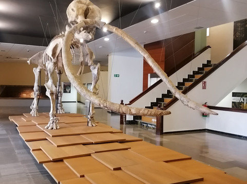 Museo Provincial-雷阿尔城必去景点