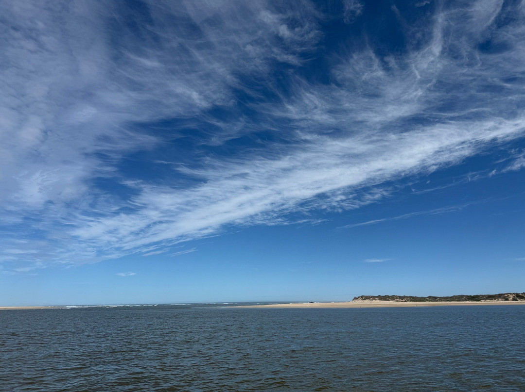 Spirit of the Coorong Cruises-Goolwa必去景点