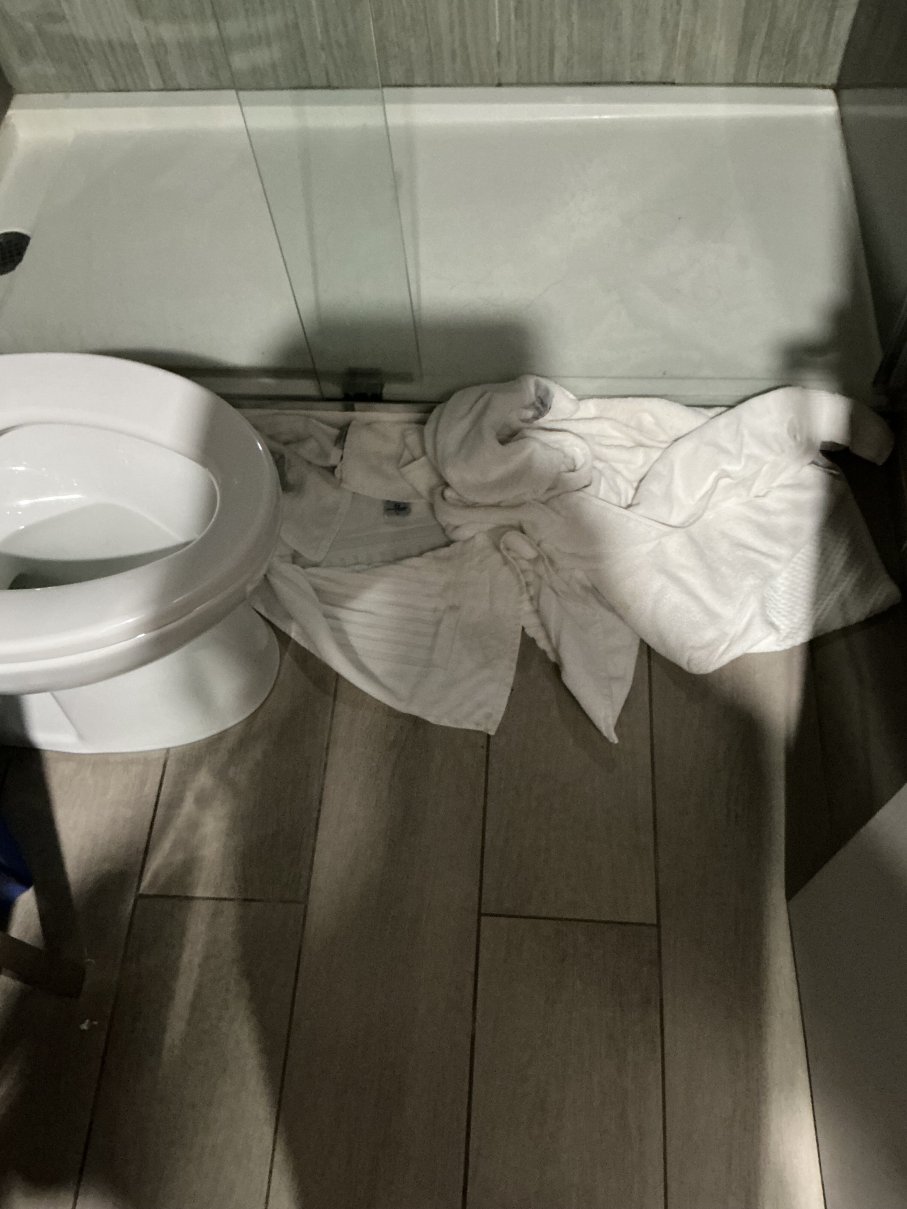 舒适酒店-JFK机场-官方