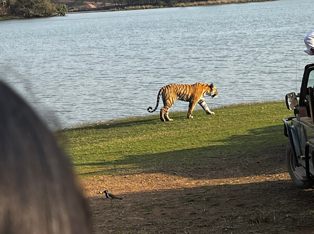 Rifa Tours India - Private Day Tour-瑟瓦伊马托布尔必去景点