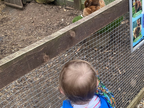 Thrift Farm-Whaddon必去景点