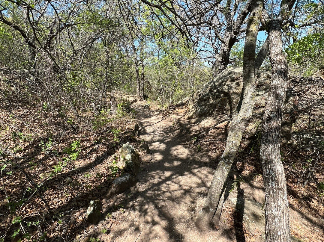 Old Zoo Nature Trails-Cisco必去景点