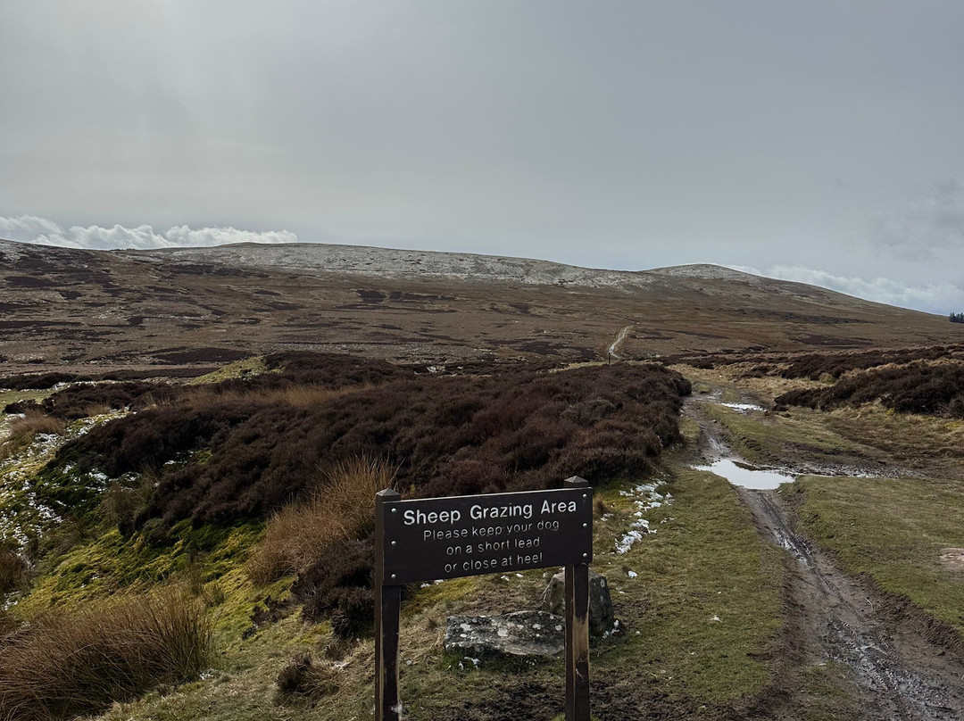 The Tartan Bicycle Company-爱丁堡必去景点