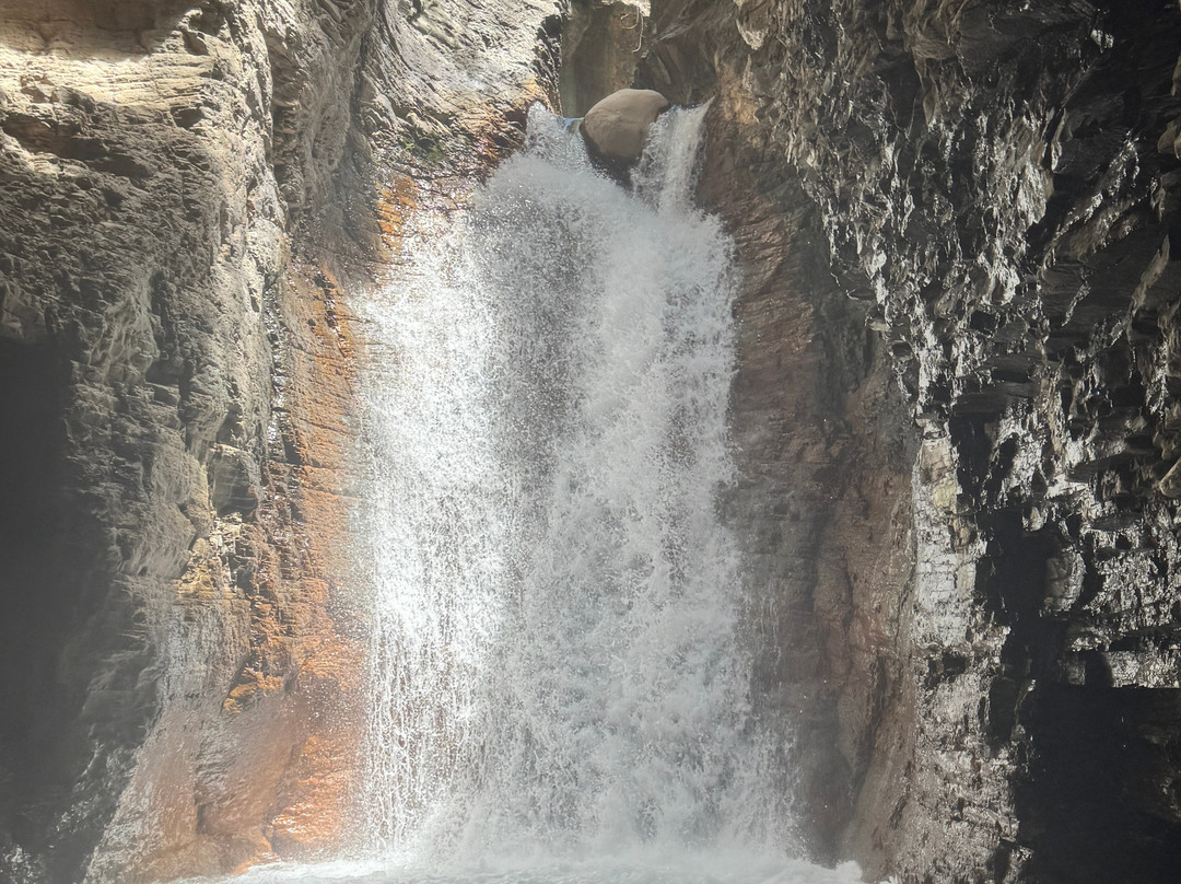 Matt's Fishing & Tours-萨迪纳尔必去景点