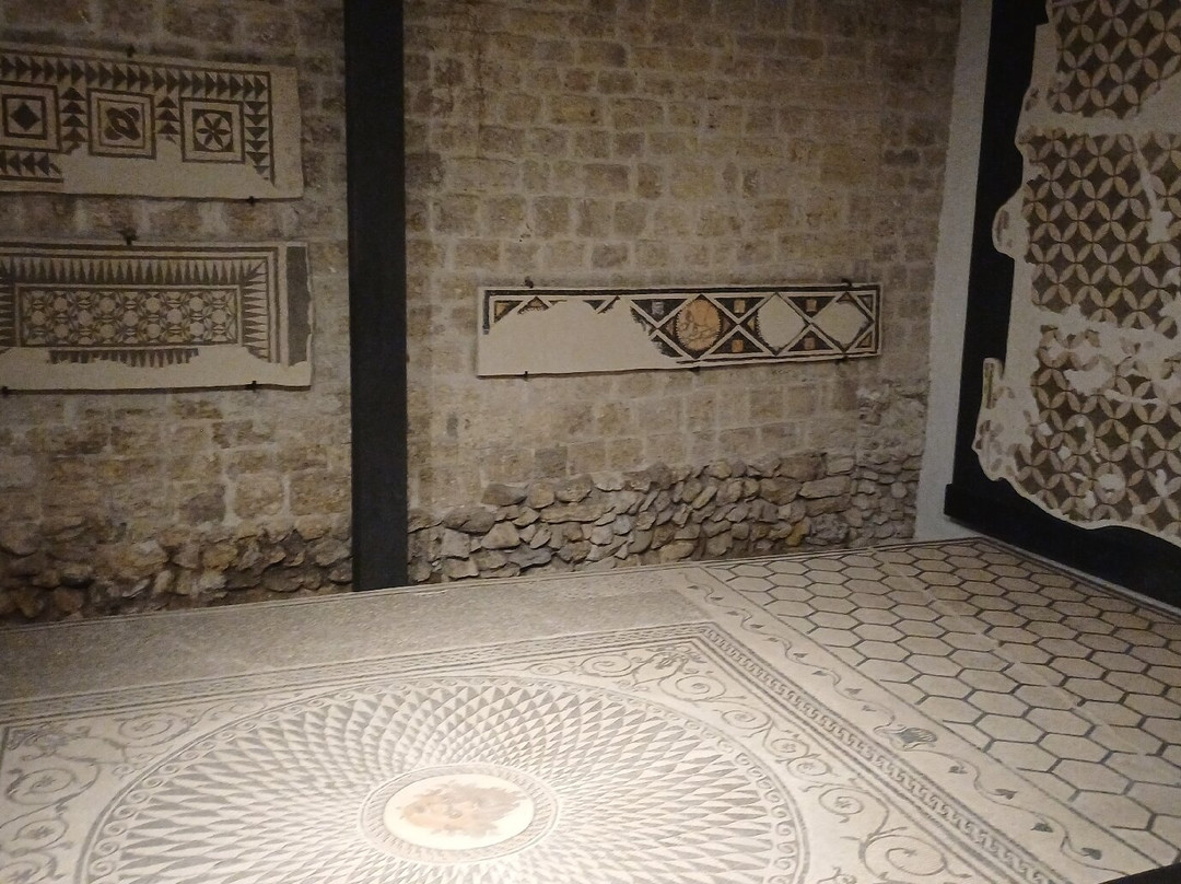 Museo archeologico statale di Ascoli Piceno-阿斯科利皮切诺必去景点