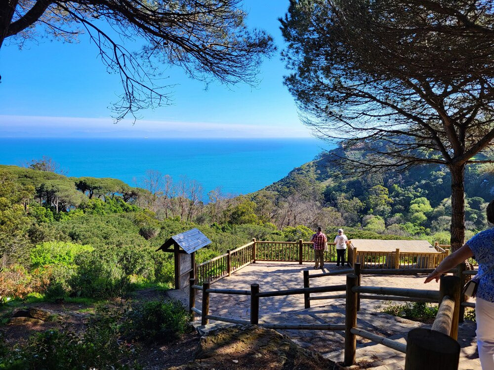 Parc Perdicaris-丹吉尔必去景点