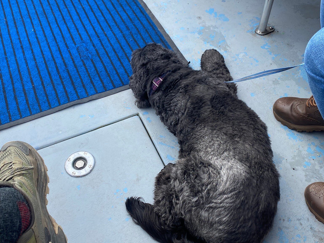 Loch Ness Hub & Travel-德拉姆纳德罗希特必去景点