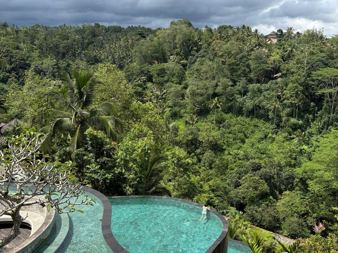 Wanna Jungle Pool and Bar-佩艳艮必去景点