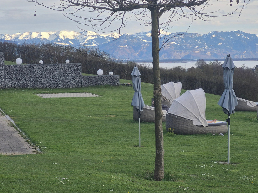 舒奈霍夫邦登瑟酒店