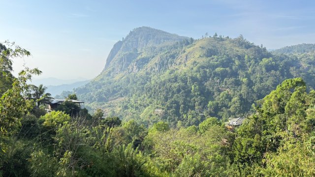 Hide-Ella Hotel & Resort-官方