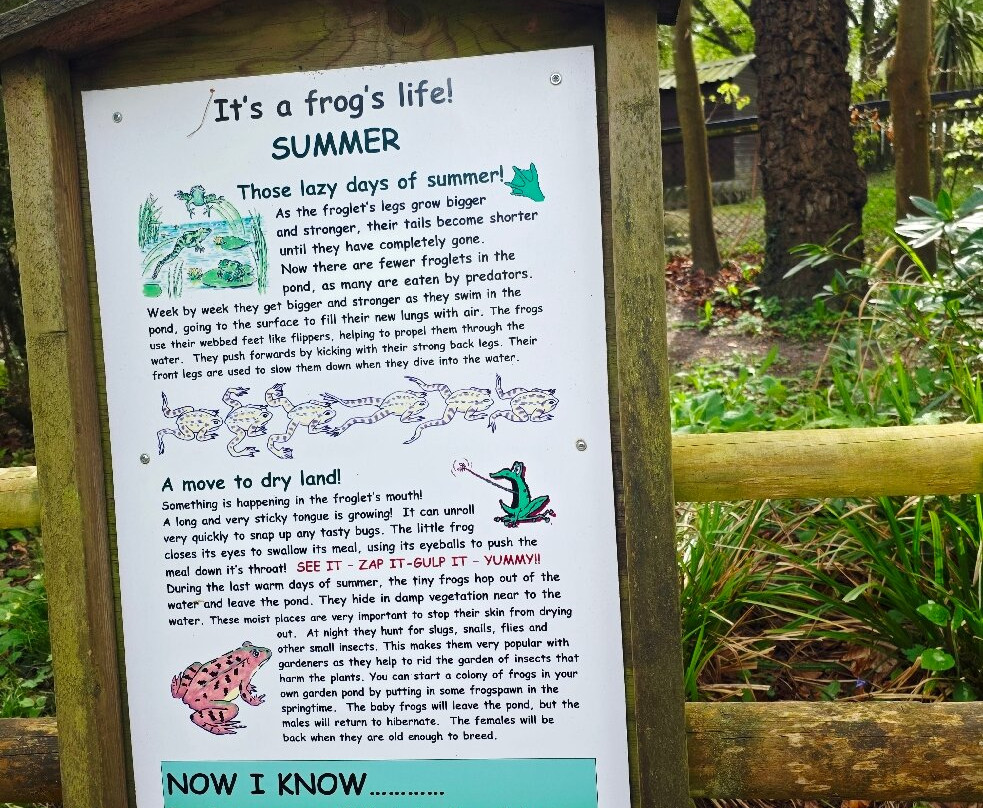 New Forest Wildlife Park-Ashurst必去景点