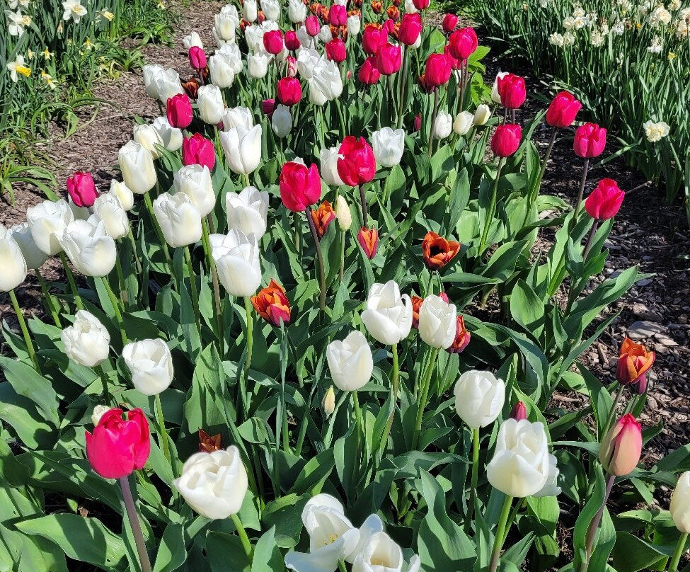Llanerchaeron-Aberaeron必去景点
