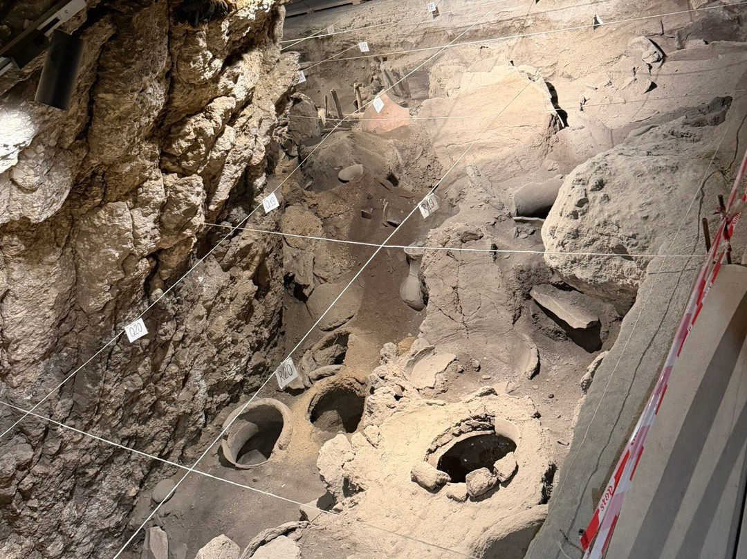 T'rchuneri (Bird) Cave-Areni必去景点