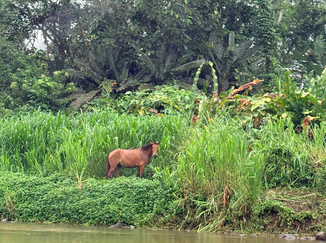 World Evasion-圣何塞必去景点
