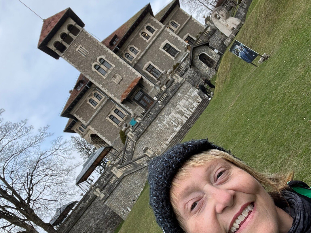 Cantacuzino Castle-布什泰尼必去景点