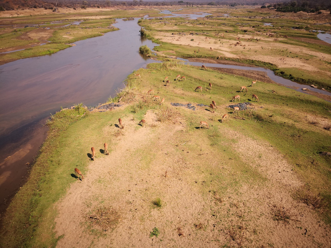 Safari4Africa-约翰内斯堡必去景点
