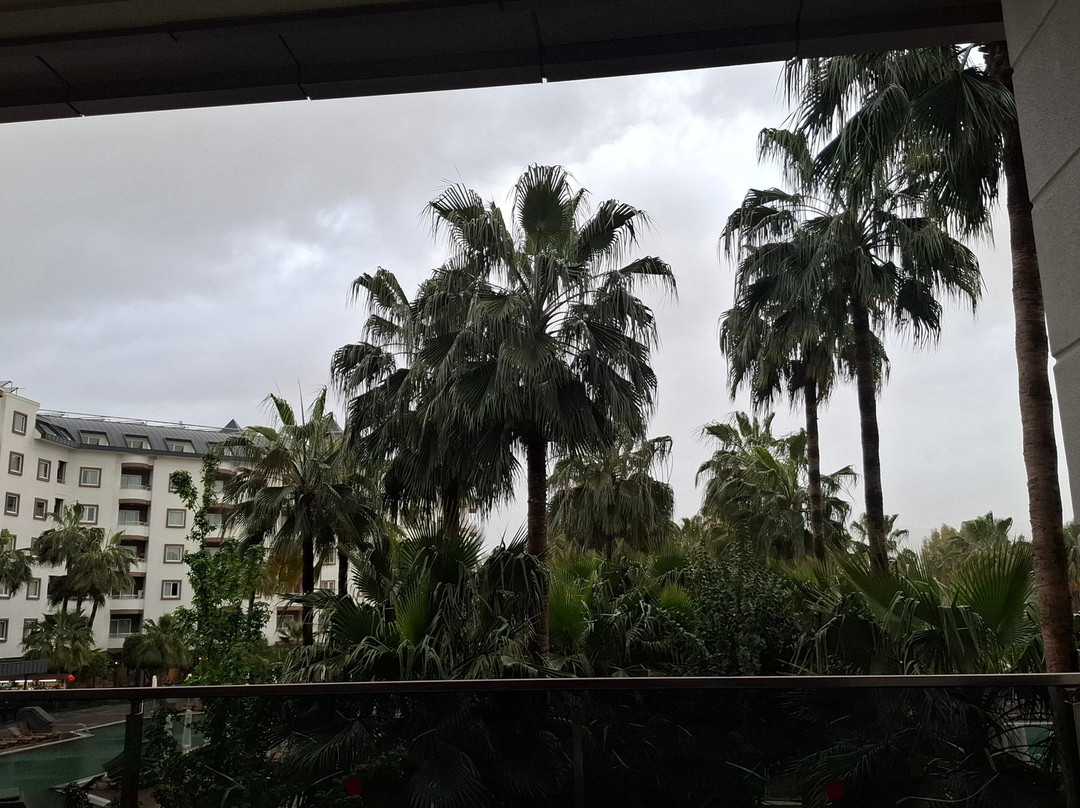 皇家花园海滩酒店 - 全包式主图