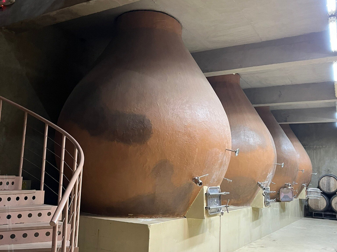 Bodegas RE-卡萨布兰卡必去景点