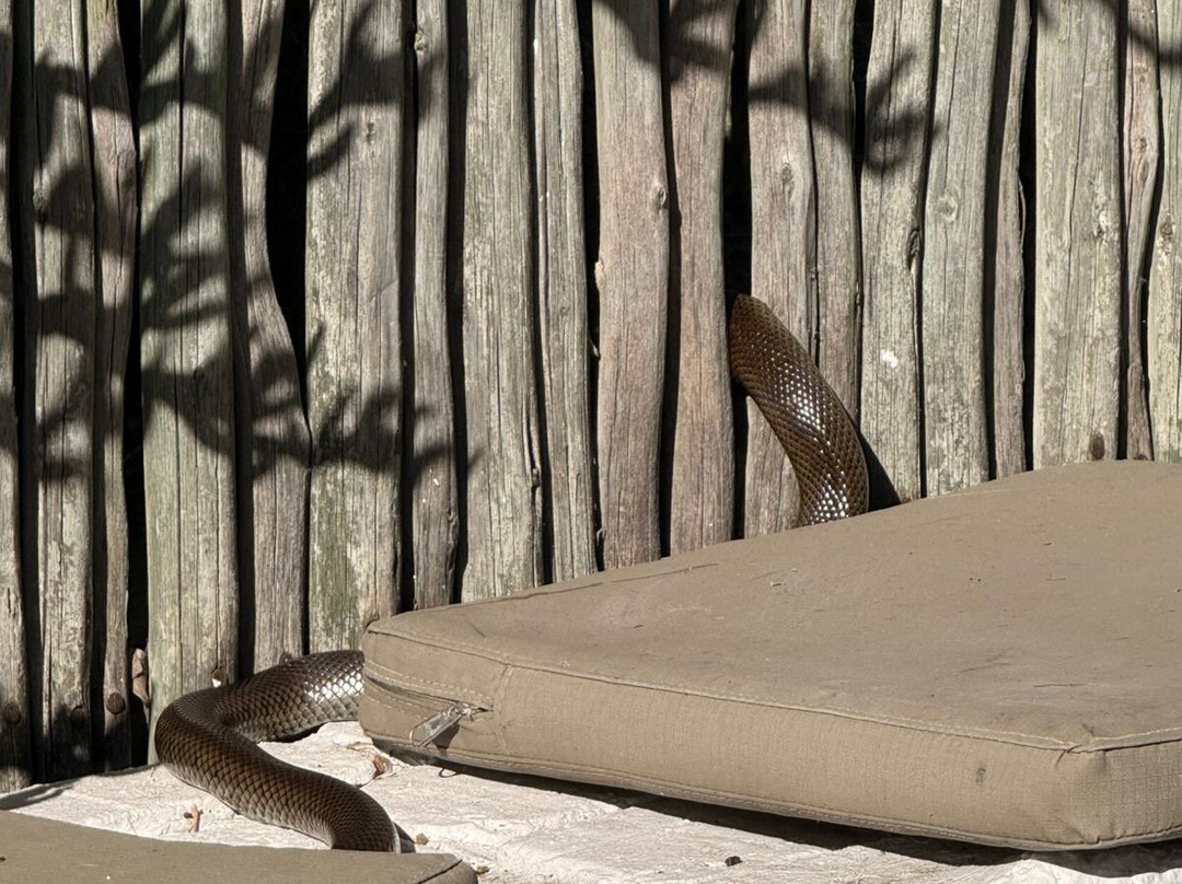 !Khwa ttu-Yzerfontein必去景点