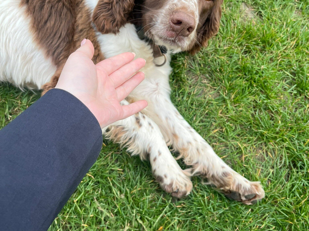Brabourne Vineyard-Brabourne必去景点