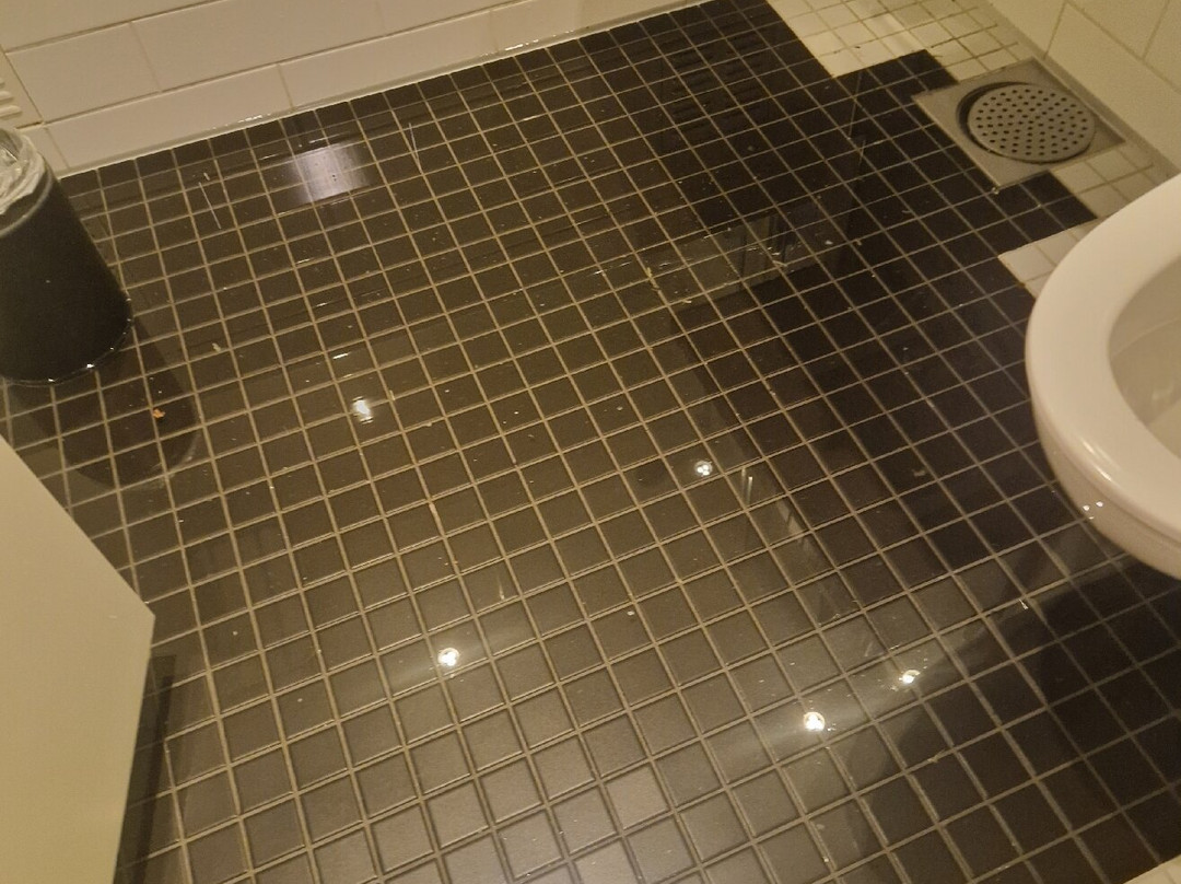 大博德豪华酒店主图