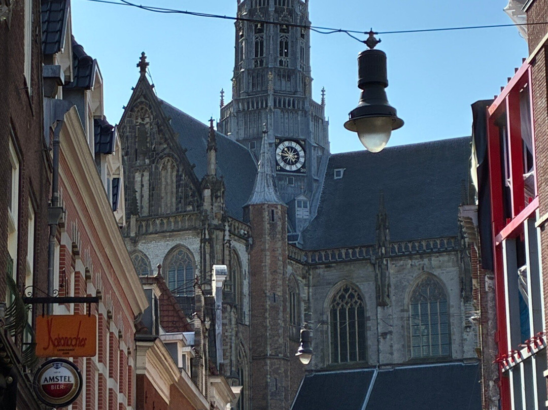 Sint-Bavokerk (Church of St. Bavo)-哈勒姆必去景点