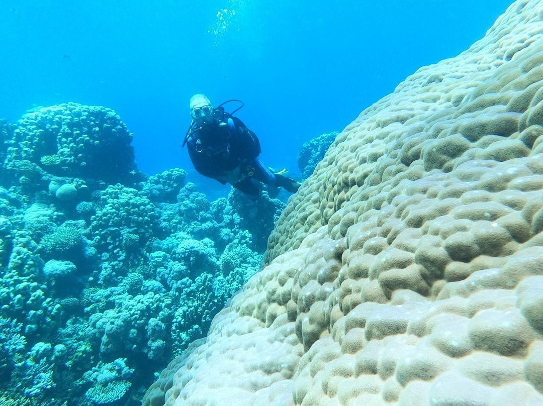 达哈卜潜水中心-达哈卜必去景点