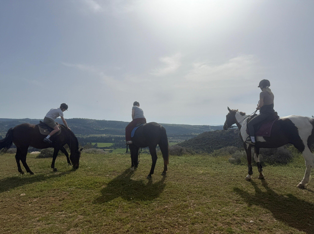 Aphrodite Hills Riding Club-库克利亚必去景点