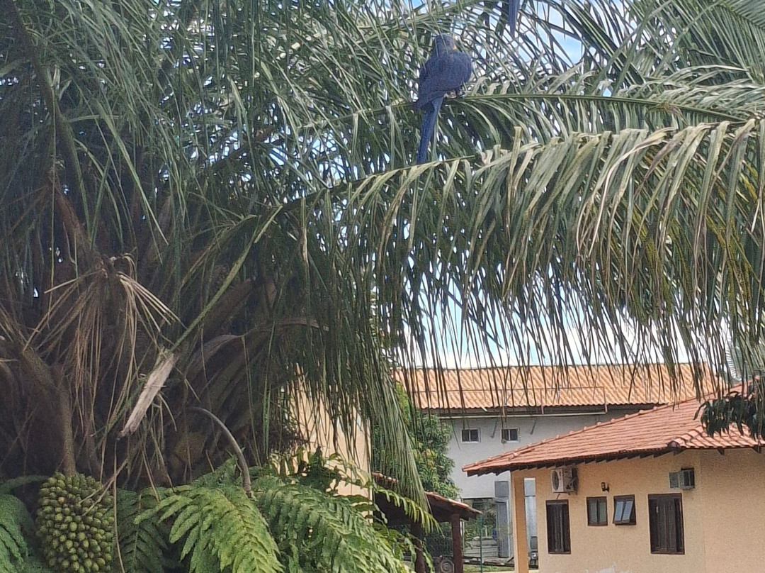 Hotel Sesc Porto Cercado主图