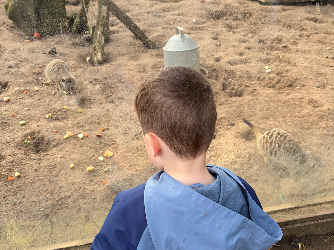 Cockfields Farm Park-Ashton-under-Lyne必去景点
