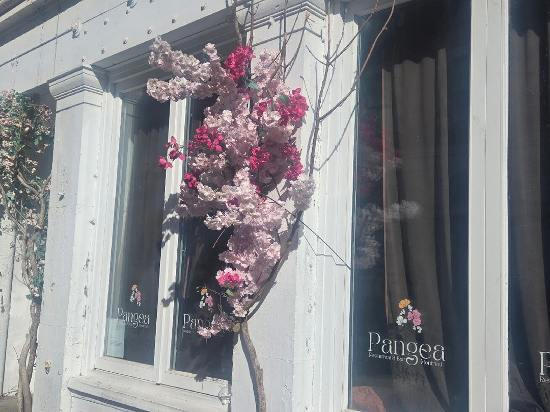 旧蒙特利尔城-蒙特利尔必去景点