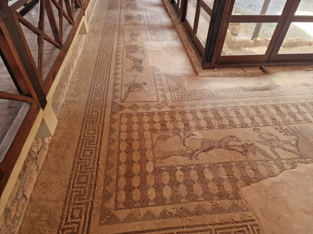 The House Of Dionysus-帕福斯必去景点