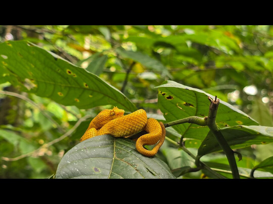 Planet Hollywood Costa Rica by Royalton, An Autograph Collection All-Inclusive Resort主图