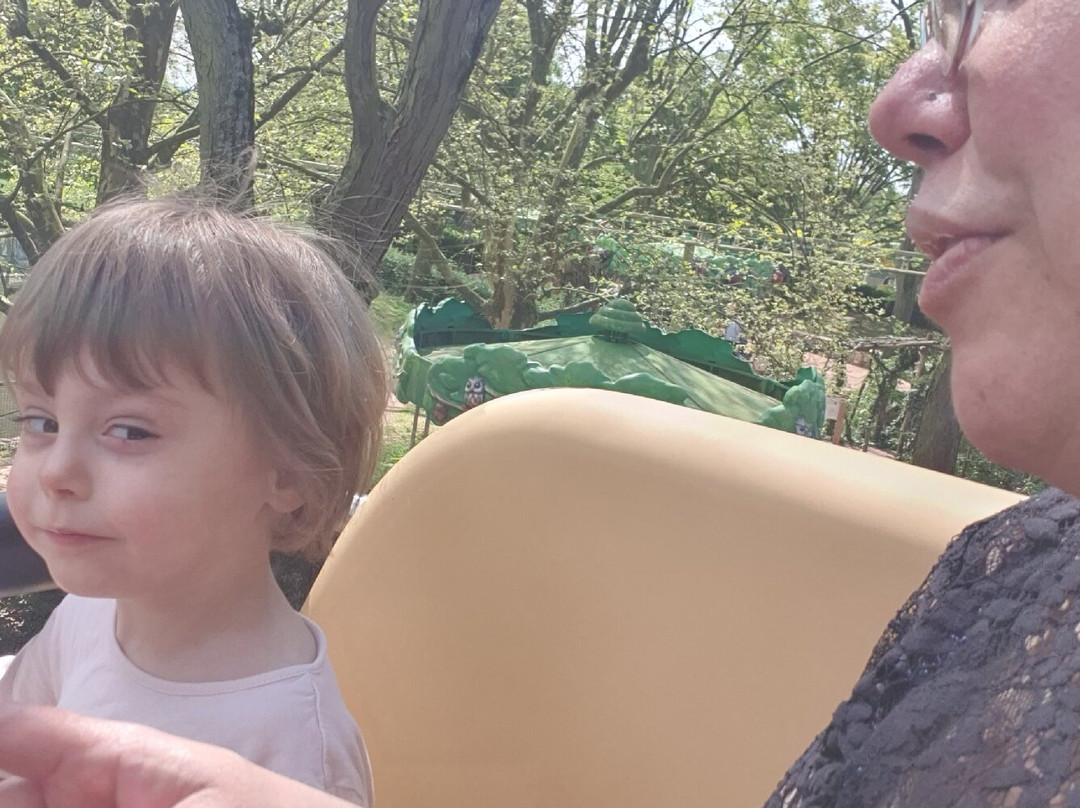 Cigoland - Parc des Cigognes et Attractions-Kintzheim必去景点